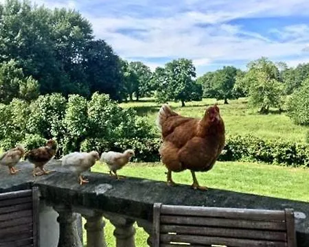 Historic Manor House At Gelskov Estate *