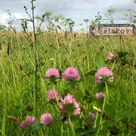 Vakantiehuis Historic Manor House At Gelskov Estate