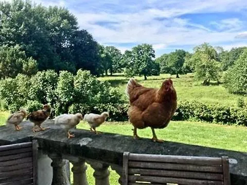 Historic Manor House At Gelskov Estate *