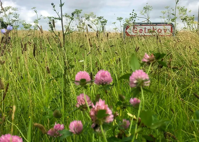 Holiday home Historic Manor House At Gelskov Estate